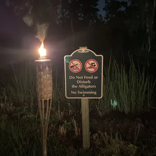 a no swimming sign and a no swimming sign