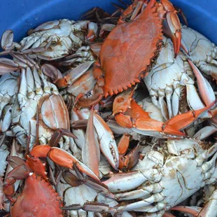 Wonderful Cajun Cuisine