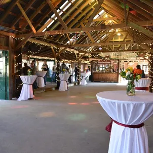 salads, interior