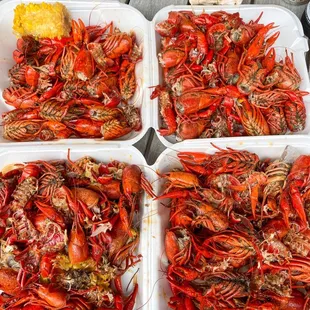 Crawfish wasteland