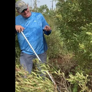 Explaining about an alligator nest