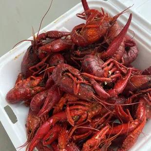 Huge crawfish from bayou boil n Geaux