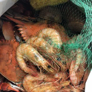 shrimp, corn, and corn cob in a bag