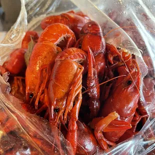 shellfish, oysters, mussels, food, oysters and mussels