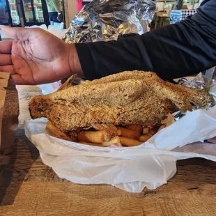 As large as a forearm