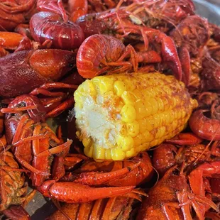 crawfish &amp; corn.