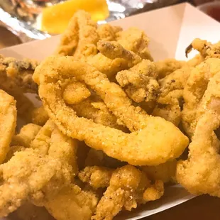 Fried Squid