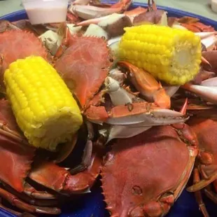Bayou Lagniappe
