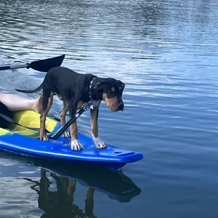 Dint forget the first babies! Bring'em along for a little time on the water!