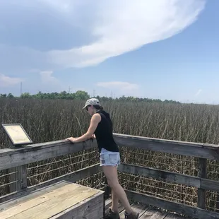 Looking for wildlife