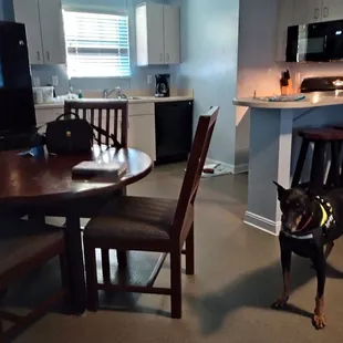 Dining and kitchen