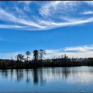 Bayou Segnette