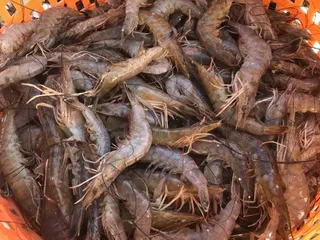 Wine Island Seafood
