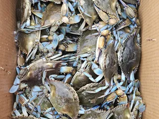 Fishing Jim Seafood