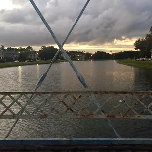 Another shot of the Magnolia pedestrian bridge! Nice walk wth a friend and love this bridge!