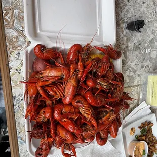 Crawfish