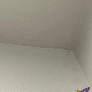 Masking tape that was *painted over* which is featured in every room!