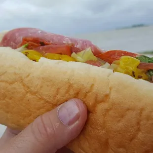 a person holding a hot dog on a bun