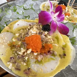 Maine Scallop Tiradito