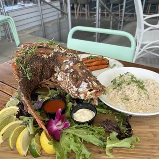 Whole Snapper  Roasted or Fried