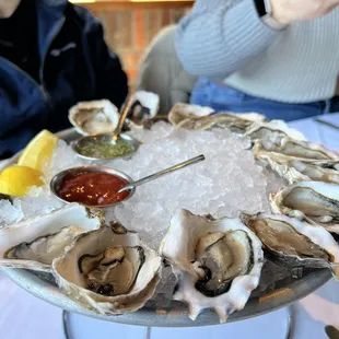 Oyster
