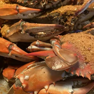 a pile of crabs on display