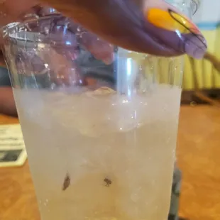 We went for crabs NOT floatees in the drink. Then she wasn't happy we left