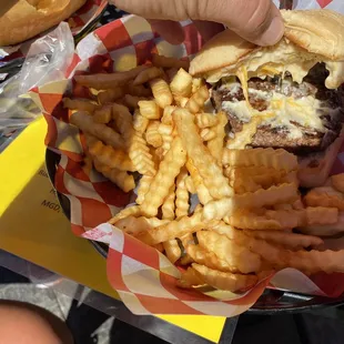 a burger and fries