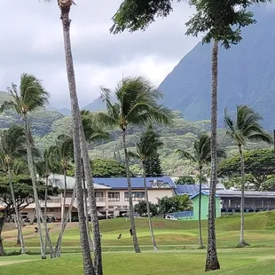 Picturesque backdrop of the Ko'olau mountains looking back at the Pro Shop from 4th tee