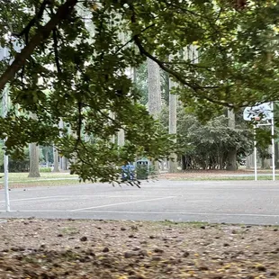 Basketball court
