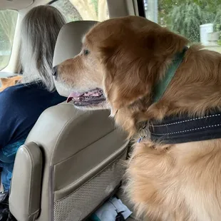We&apos;re going to the park.  I&apos;m so excited!!