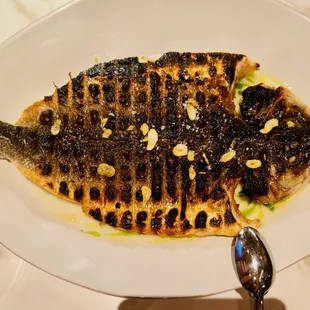 Grilled Branzino-Like Fish