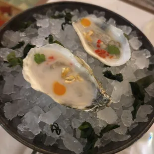 Oyster Ceviche