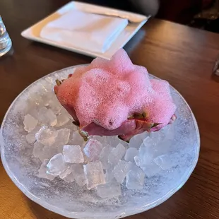 Dragon Fruit Ceviche