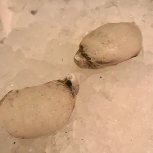 Smoked Oysters