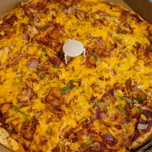Bbq chicken 16&quot;