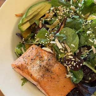 Ginger sesame salad with alaskan sockeye salmon