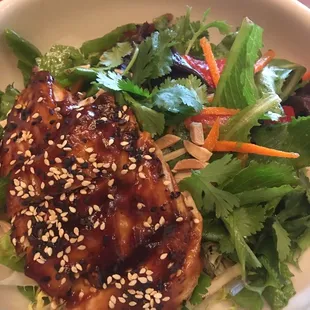 Asian Glazed Chicken Salad