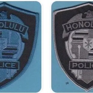 Blue is allegedly former SSD subdued patch, grey I read possibly range staff.