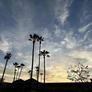 outside