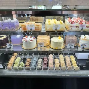 Cake &amp; Macaron Display