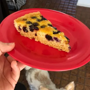 Piece of my blueberry tart - my dog was jealous