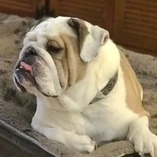 B D.