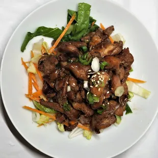 Teriyaki Chicken