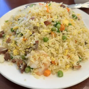 N4. Yang Chow Fried Rice
