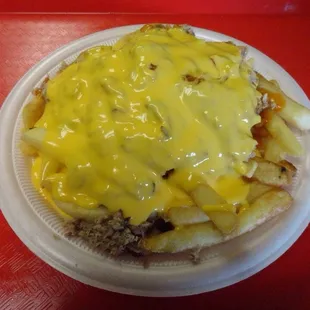 Our famous Shack Fries