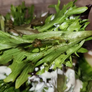 a close up of a salad