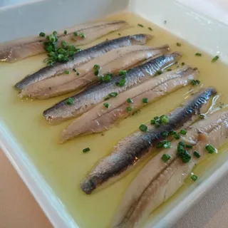 Fresh Pickled Anchovies