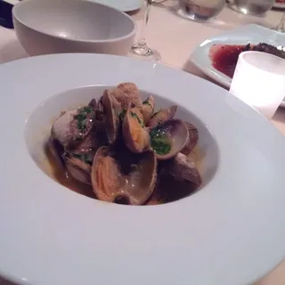 Clams in a Fresh Tomato and Onion Sauce