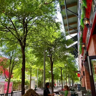 people sitting at tables outside